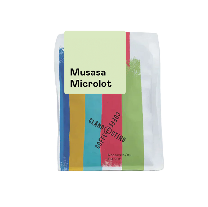 Musasa